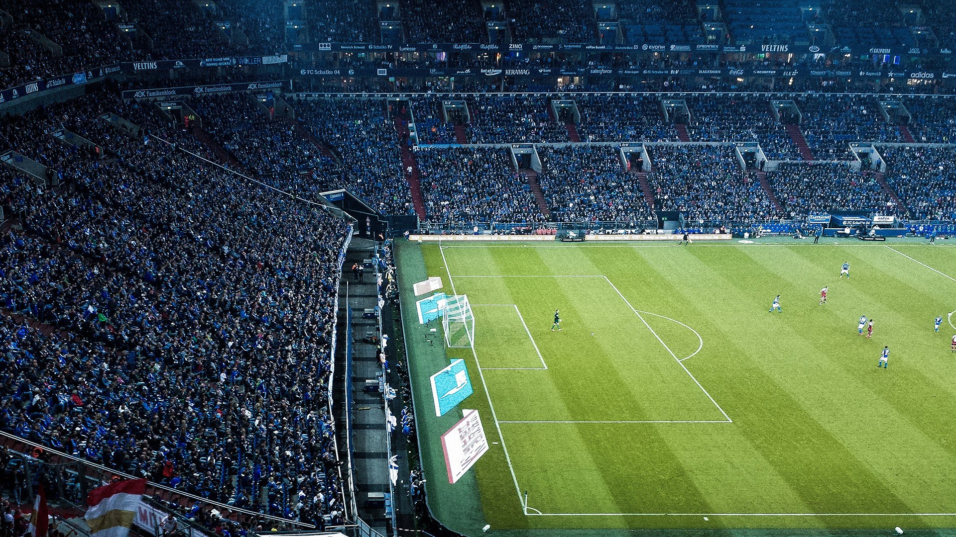 _球迷狂欢节:现场互动、签名会热情高涨_,球迷的疯狂举动